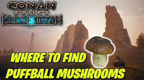 Mushroom Stew conan exiles. . Conan exiles mushroom locations